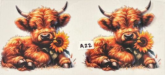 A-22